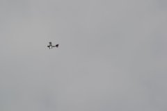 photo_283