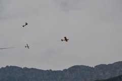 photo_284