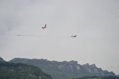photo_285