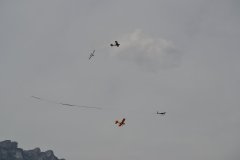 photo_286