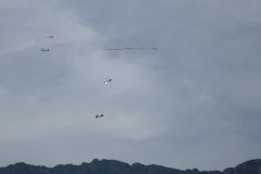photo_288