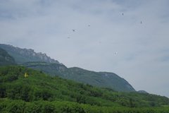 photo_290