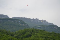 photo_294
