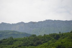 photo_295