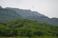 photo_298