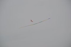 photo_310
