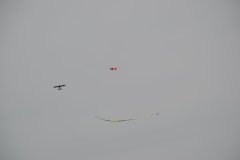 photo_312