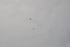 photo_314