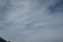 photo_316