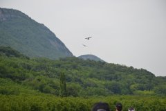 photo_324