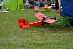 photo_335
