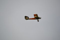 photo_336