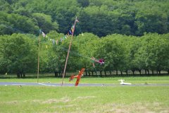 photo_338