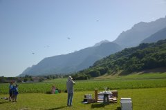 photo_475