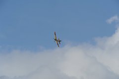 224