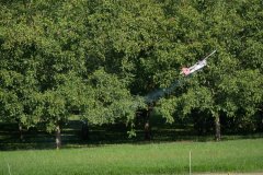photo_042
