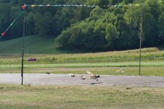 photo_187