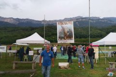 photo_264