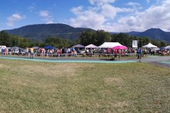 photo_279