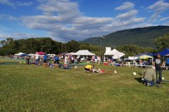 photo_293
