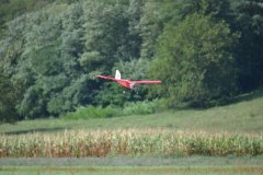 photo_310