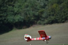 photo_317