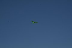 photo_213