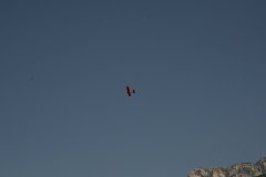 photo_216
