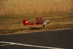 photo_231