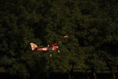 photo_233