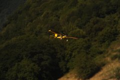 photo_239