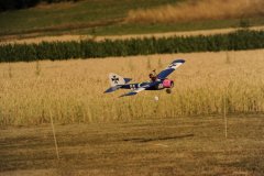 photo_243