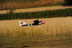 photo_245
