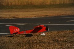 photo_249