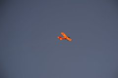 photo_262