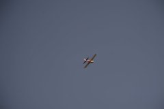 photo_263
