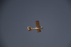 photo_264