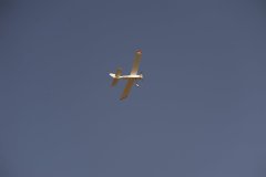 photo_268