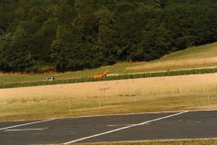 photo_283