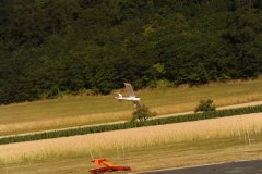 photo_291