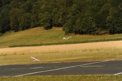 photo_298