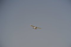 photo_319