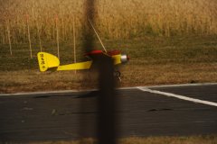 photo_335