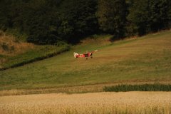 photo_343
