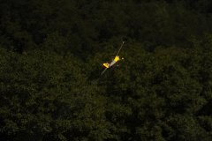 photo_373