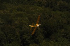 photo_393