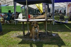 photo_430