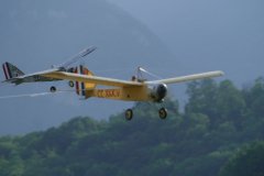 photo_446