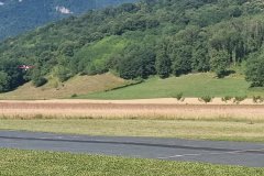 photo_069