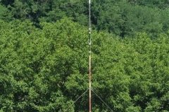 photo_103